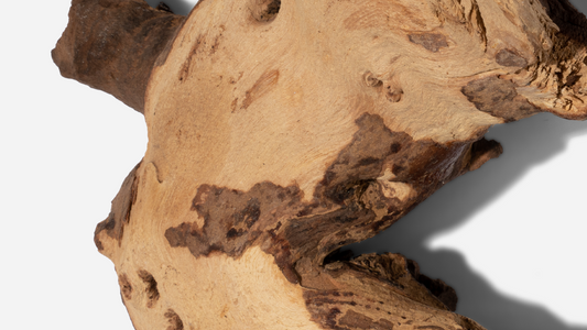 De la lemn de santal la Bergamot: Înțelegerea notelor de parfum populare