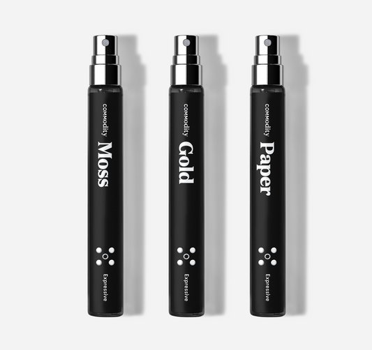 Trioul de călătorie al lui Ash